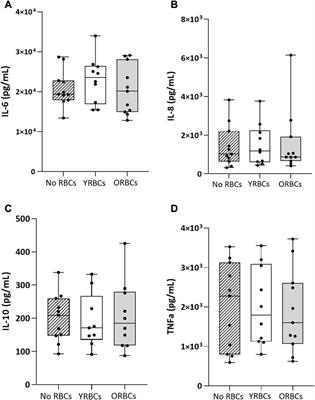 The impact of biological age of red blood cell on in vitro endothelial activation markers